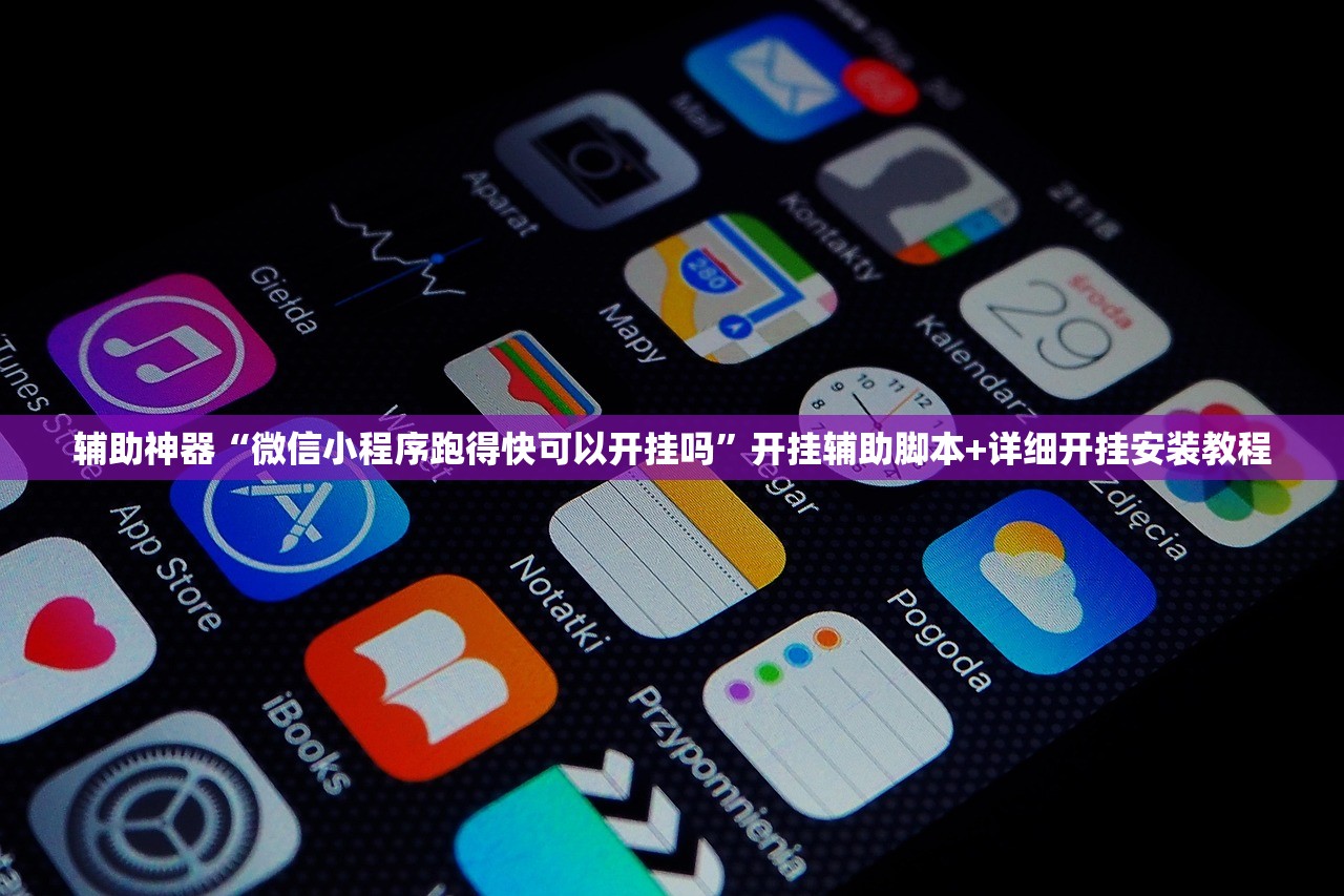 辅助神器“微信小程序跑得快可以开挂吗”开挂辅助脚本+详细开挂安装教程