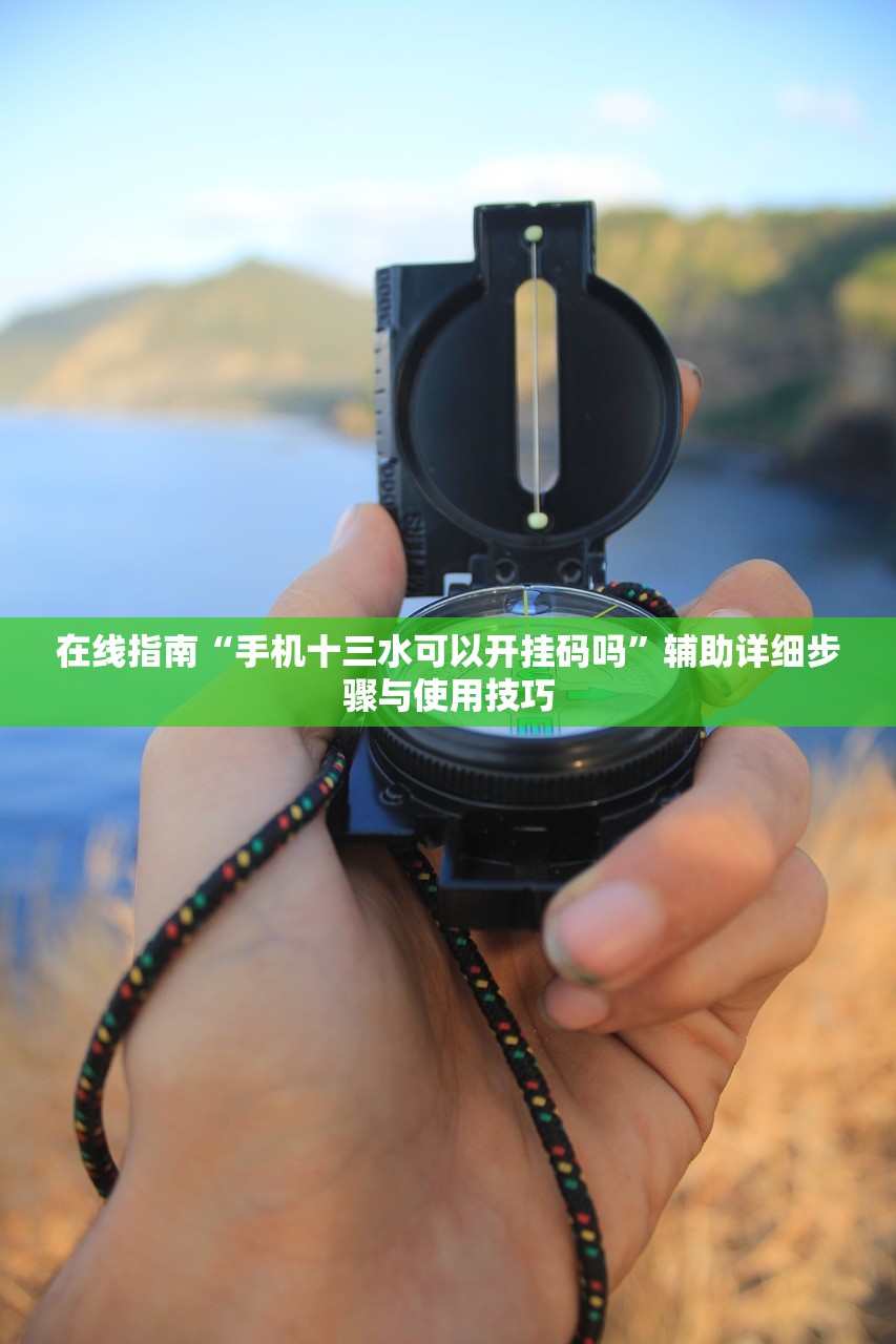 在线指南“手机十三水可以开挂码吗”辅助详细步骤与使用技巧