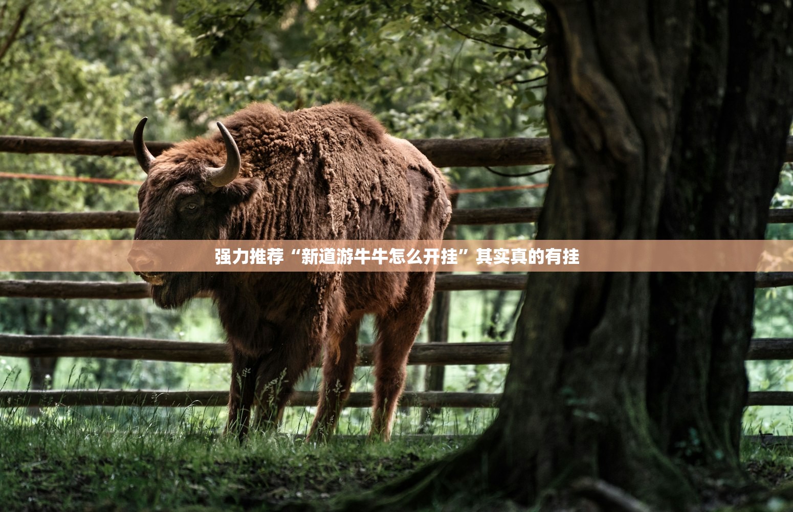 强力推荐“新道游牛牛怎么开挂”其实真的有挂