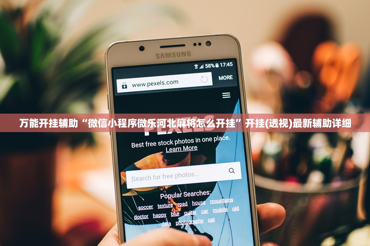 万能开挂辅助“微信小程序微乐河北麻将怎么开挂”开挂(透视)最新辅助详细