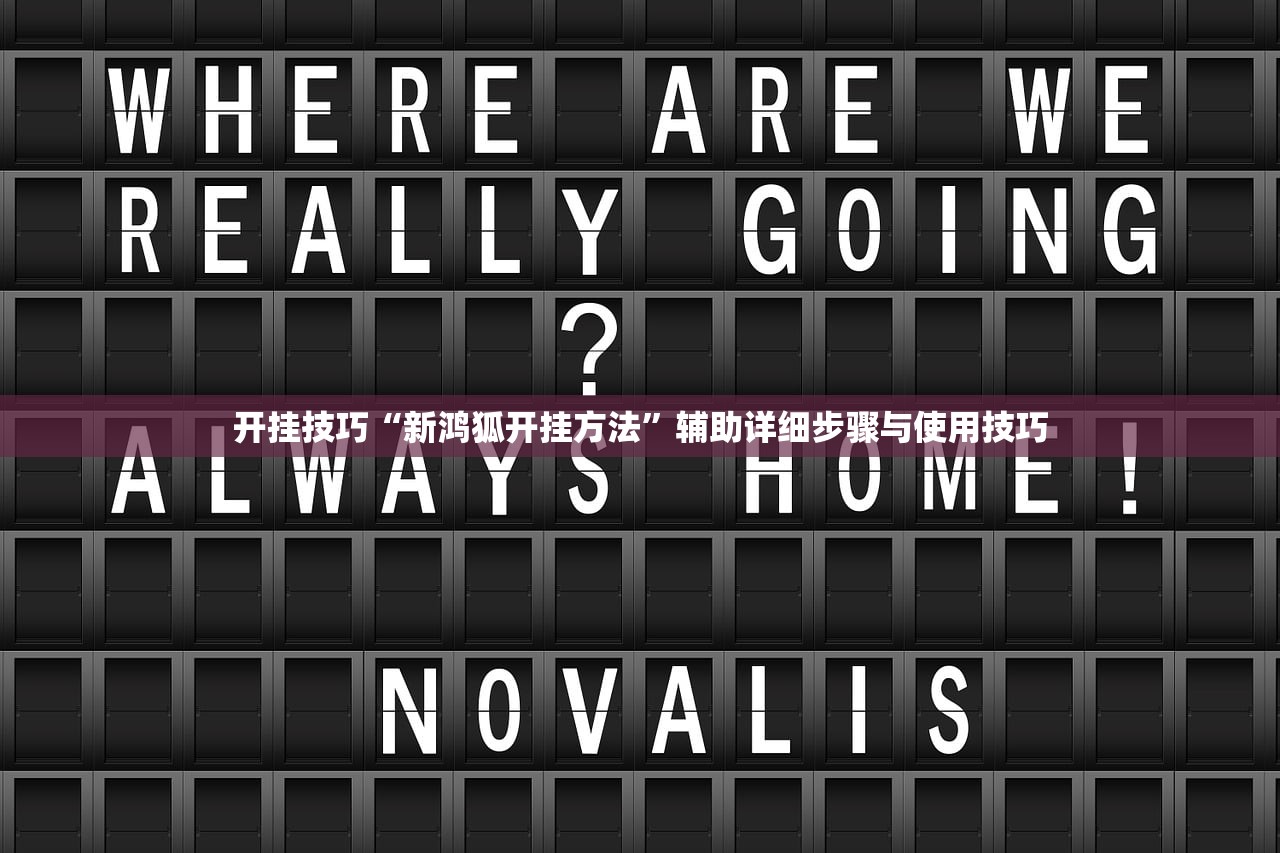 开挂技巧“新鸿狐开挂方法	”辅助详细步骤与使用技巧