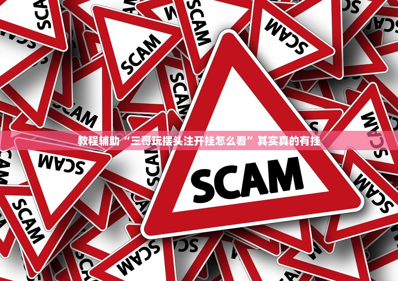 教程辅助“三哥玩摆头注开挂怎么看”其实真的有挂