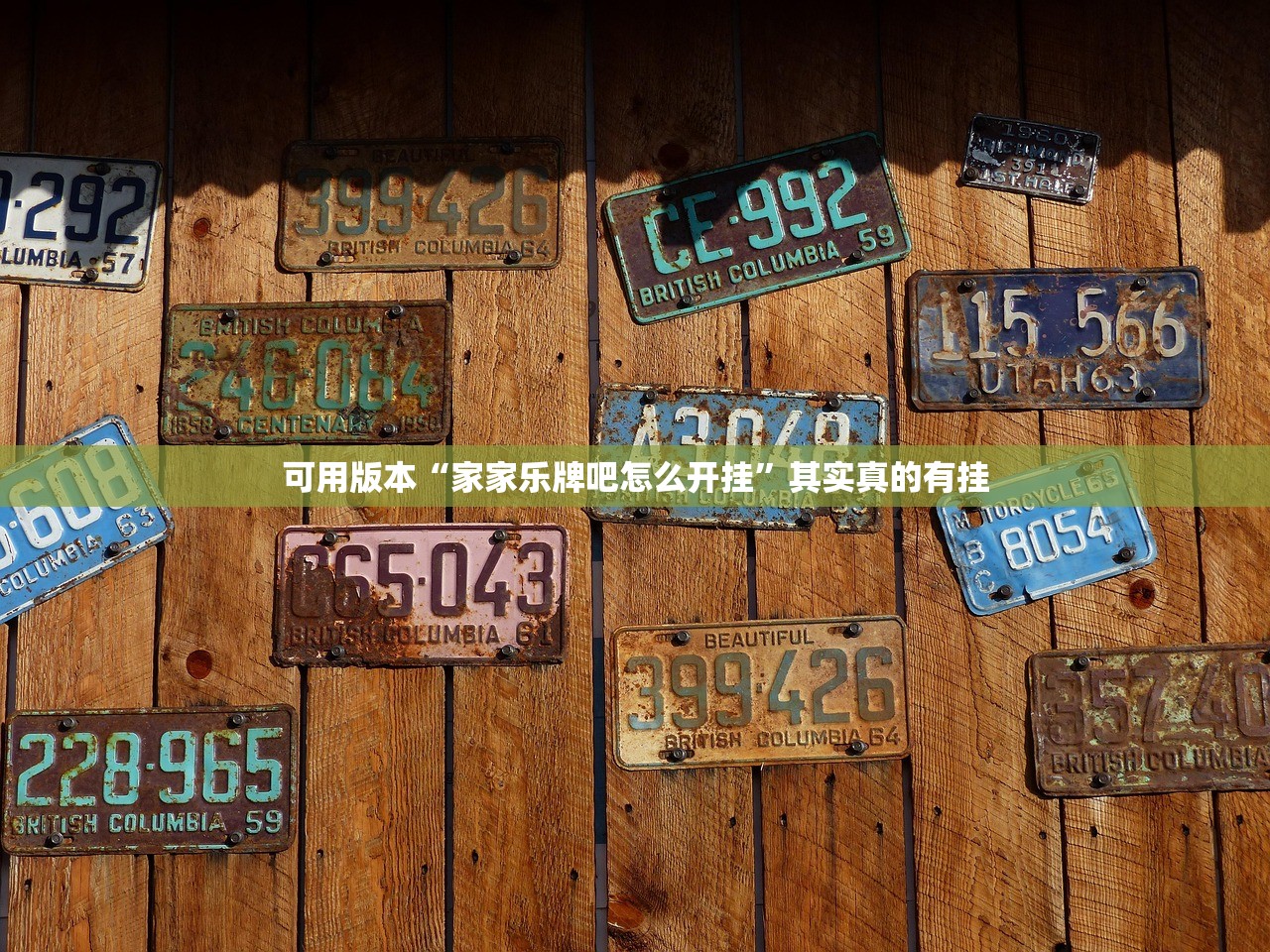 可用版本“家家乐牌吧怎么开挂	”其实真的有挂