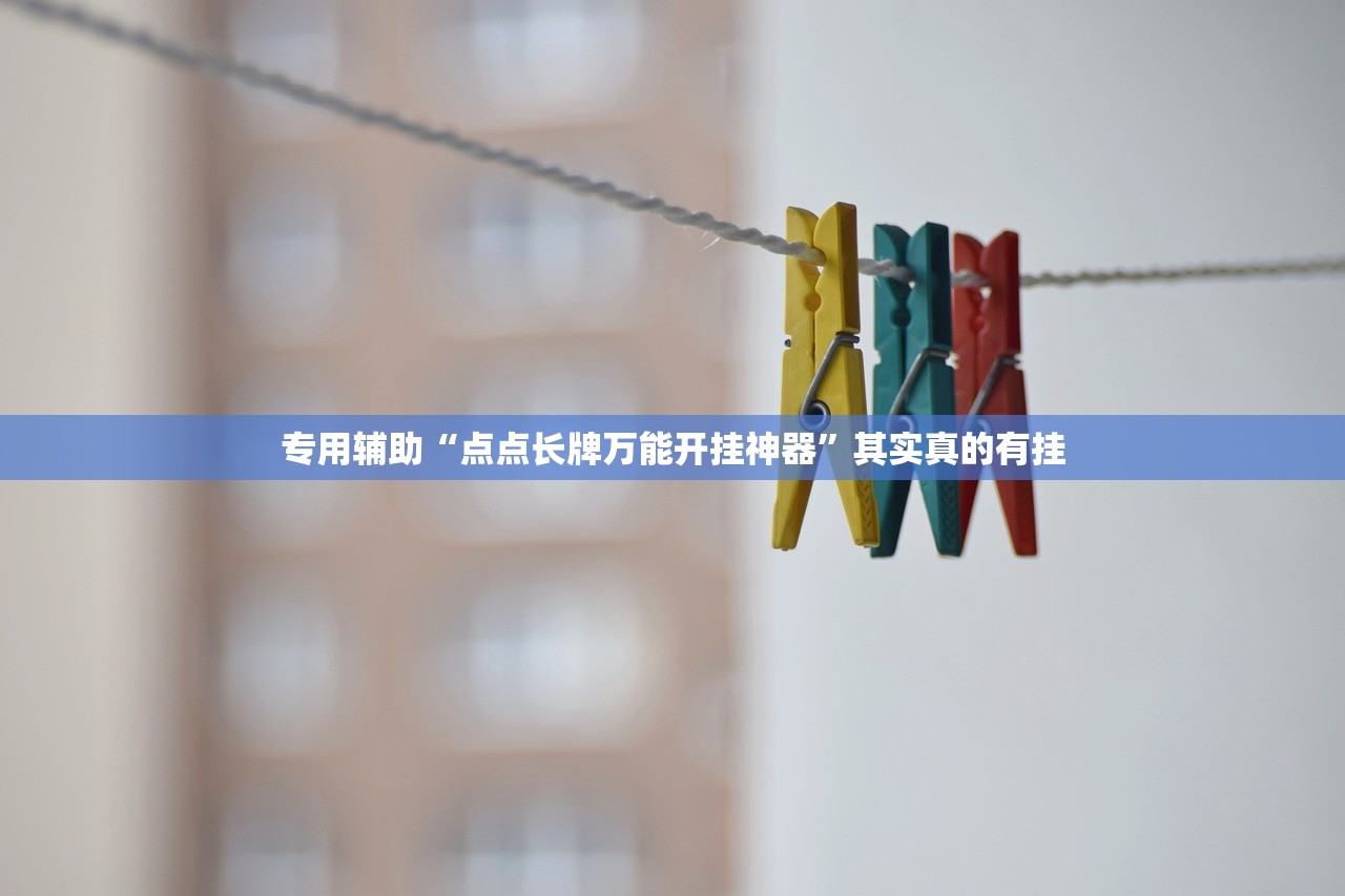 专用辅助“点点长牌万能开挂神器”其实真的有挂