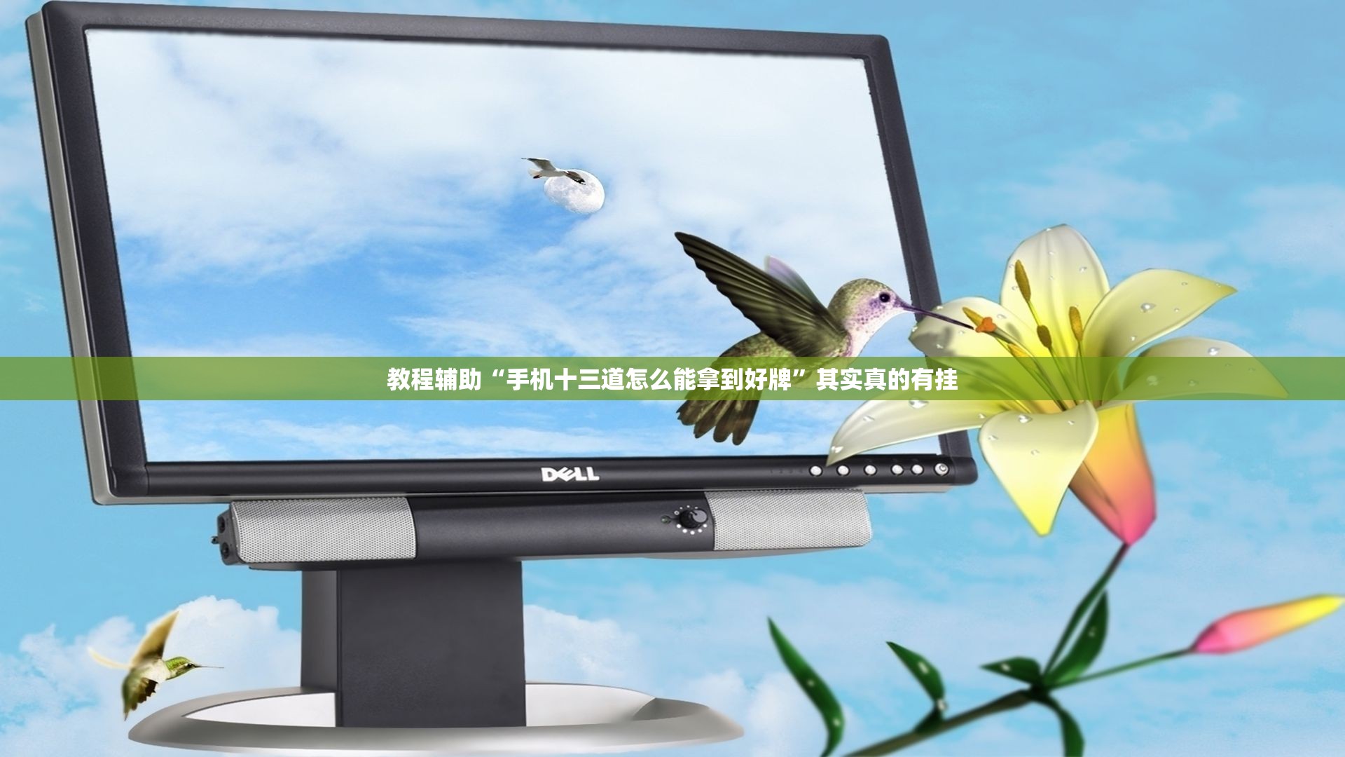 教程辅助“手机十三道怎么能拿到好牌	”其实真的有挂