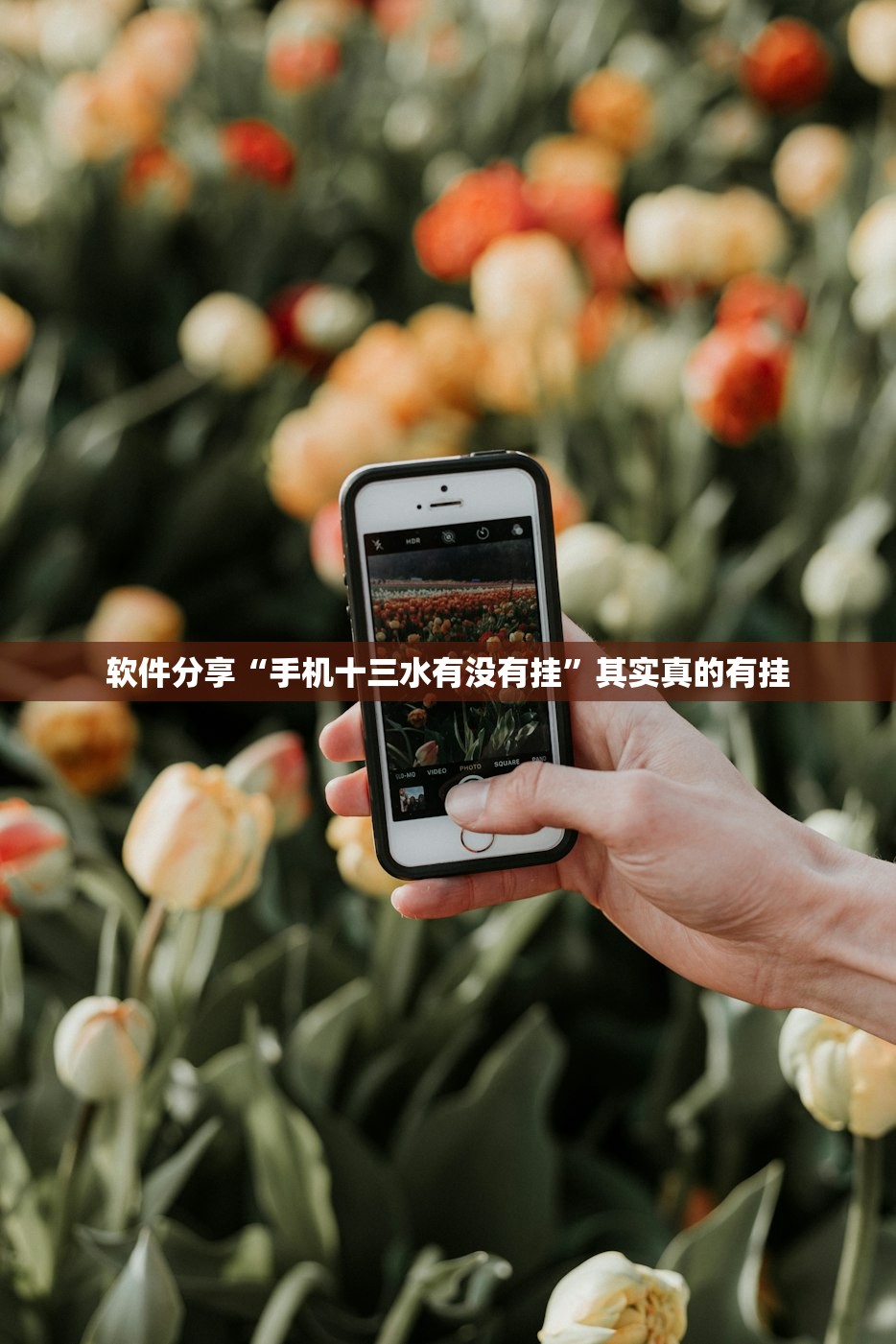 软件分享“手机十三水有没有挂	”其实真的有挂