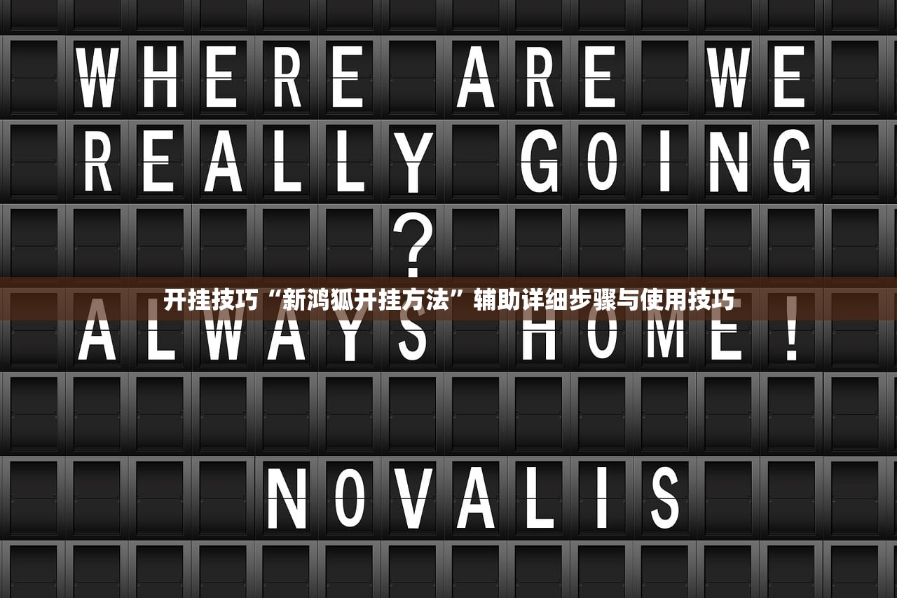 开挂技巧“新鸿狐开挂方法”辅助详细步骤与使用技巧