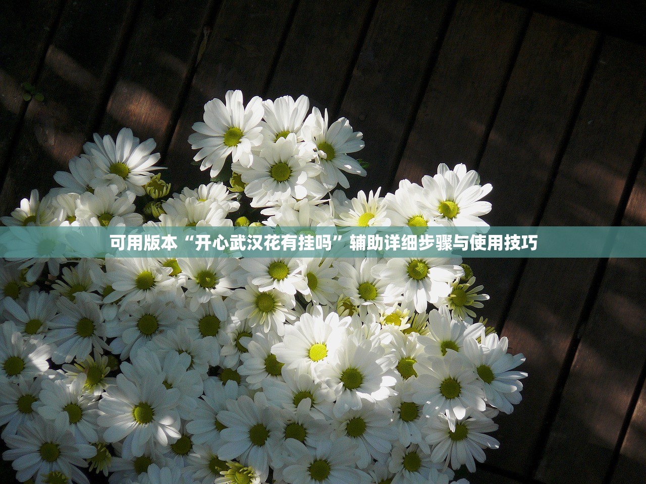 可用版本“开心武汉花有挂吗”辅助详细步骤与使用技巧