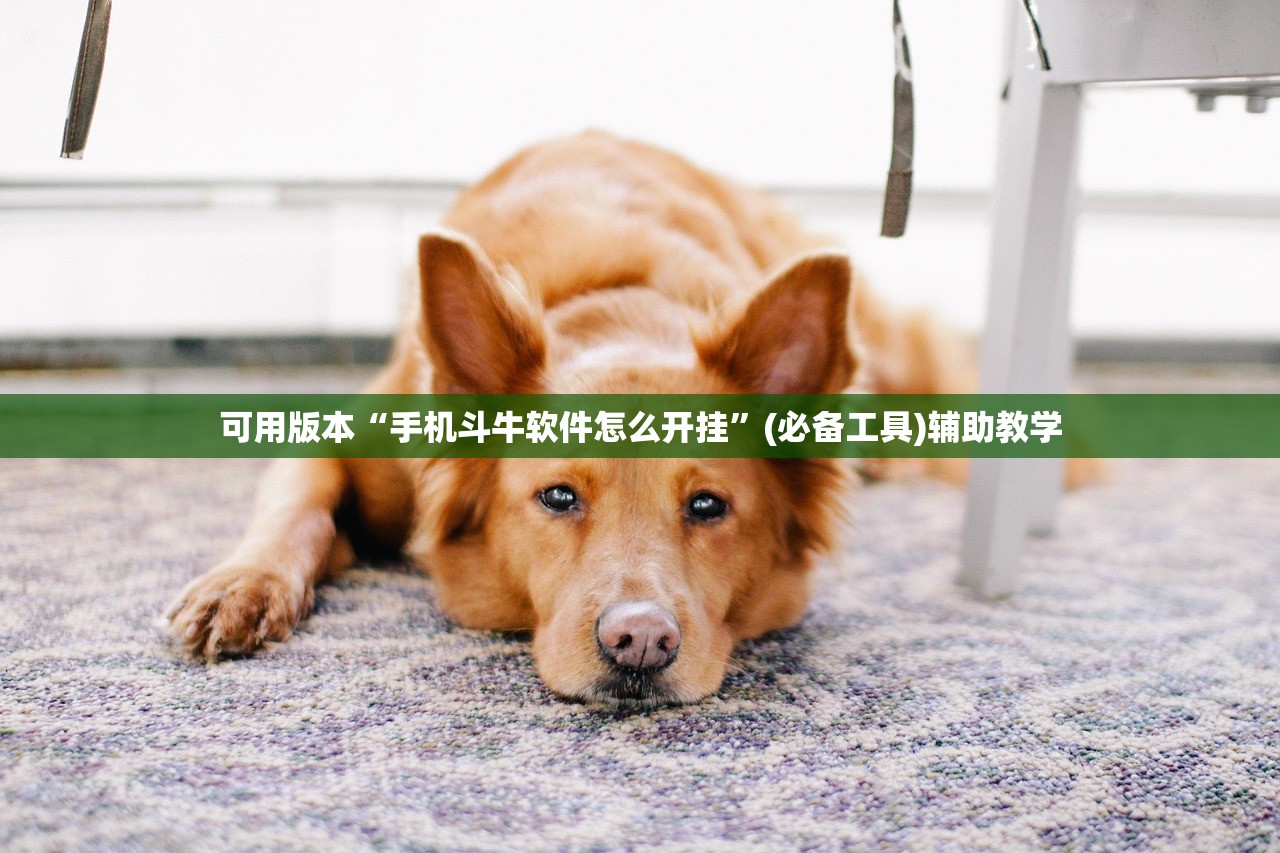 可用版本“手机斗牛软件怎么开挂”(必备工具)辅助教学