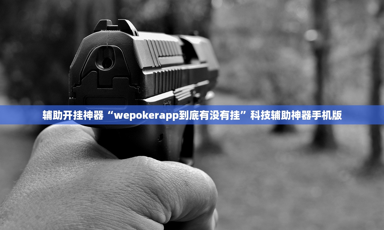 辅助开挂神器“wepokerapp到底有没有挂”科技辅助神器手机版