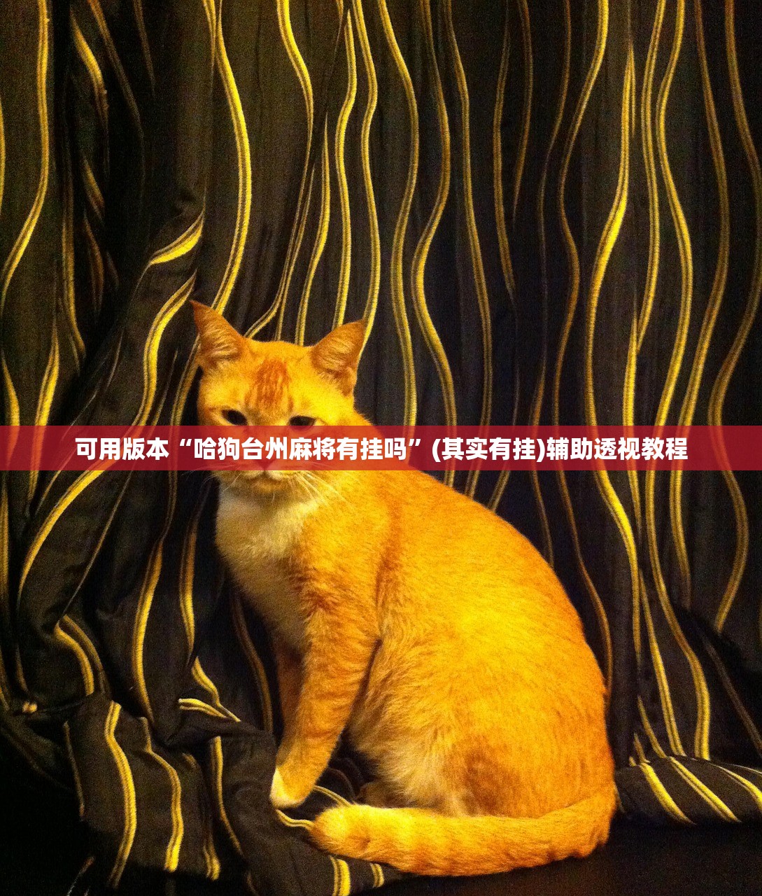 可用版本“哈狗台州麻将有挂吗”(其实有挂)辅助透视教程