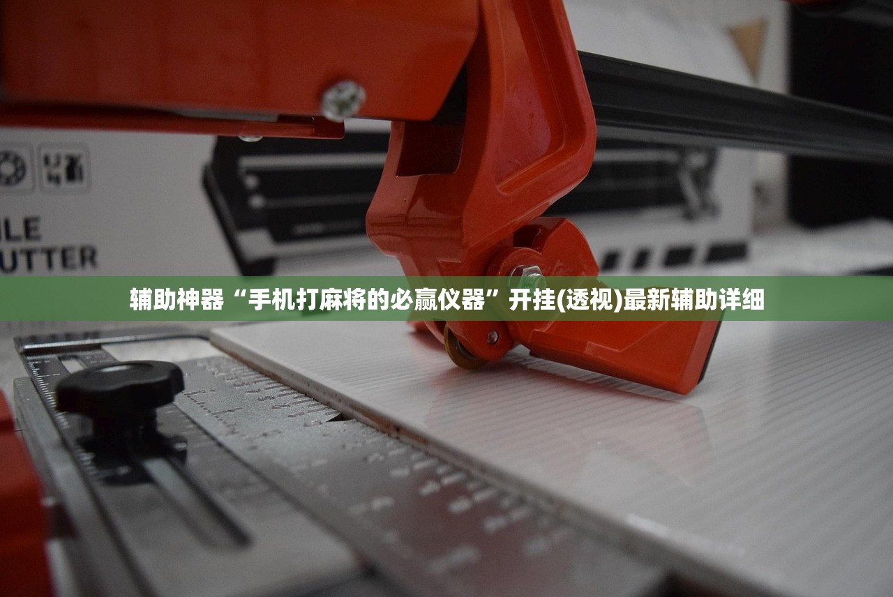 辅助神器“手机打麻将的必赢仪器	”开挂(透视)最新辅助详细