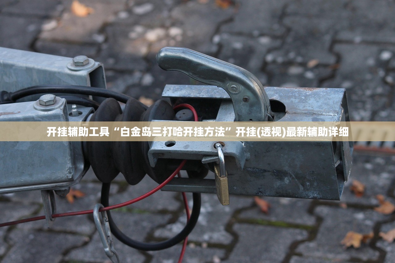 开挂辅助工具“白金岛三打哈开挂方法”开挂(透视)最新辅助详细