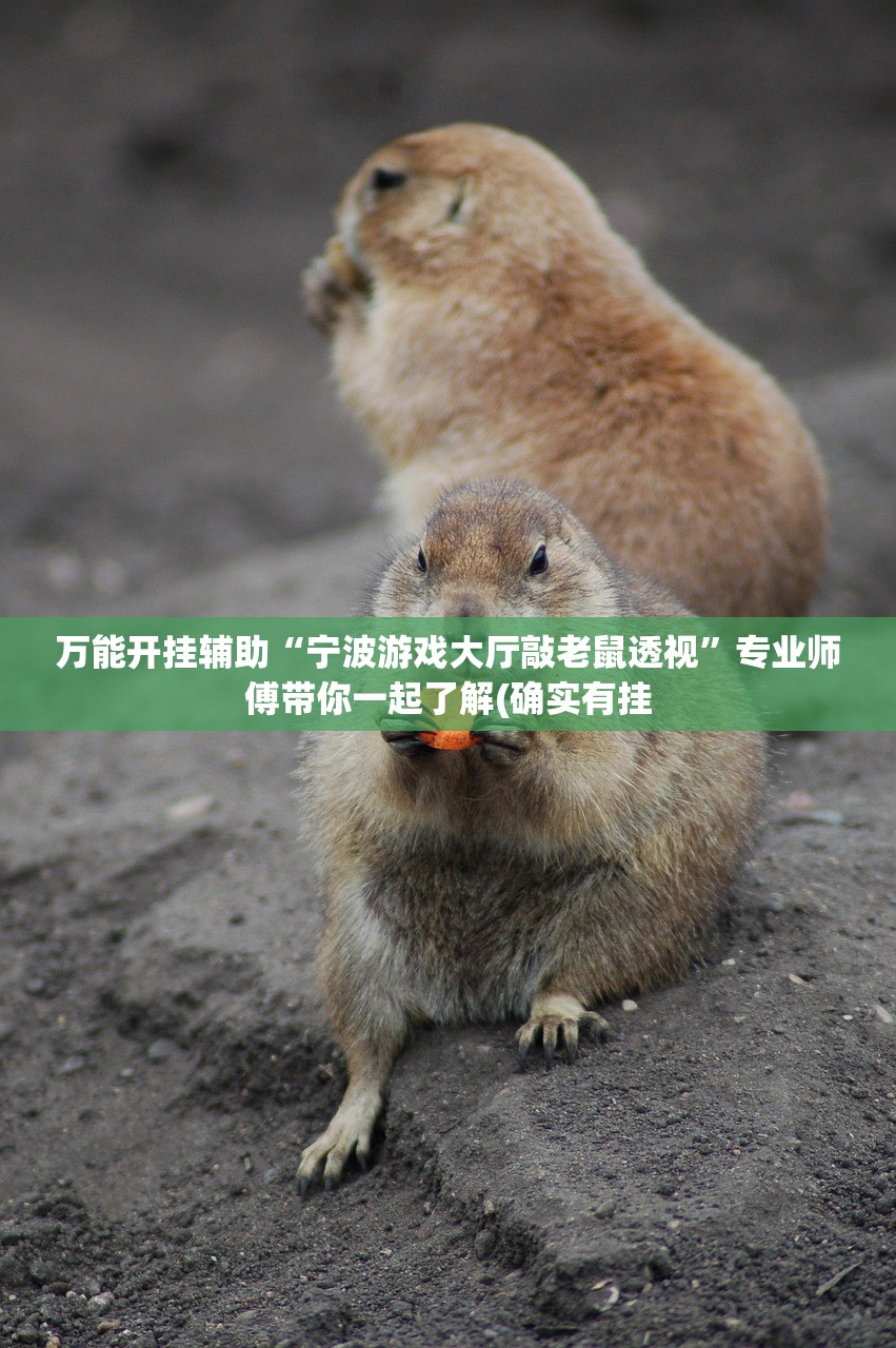 万能开挂辅助“宁波游戏大厅敲老鼠透视	”专业师傅带你一起了解(确实有挂