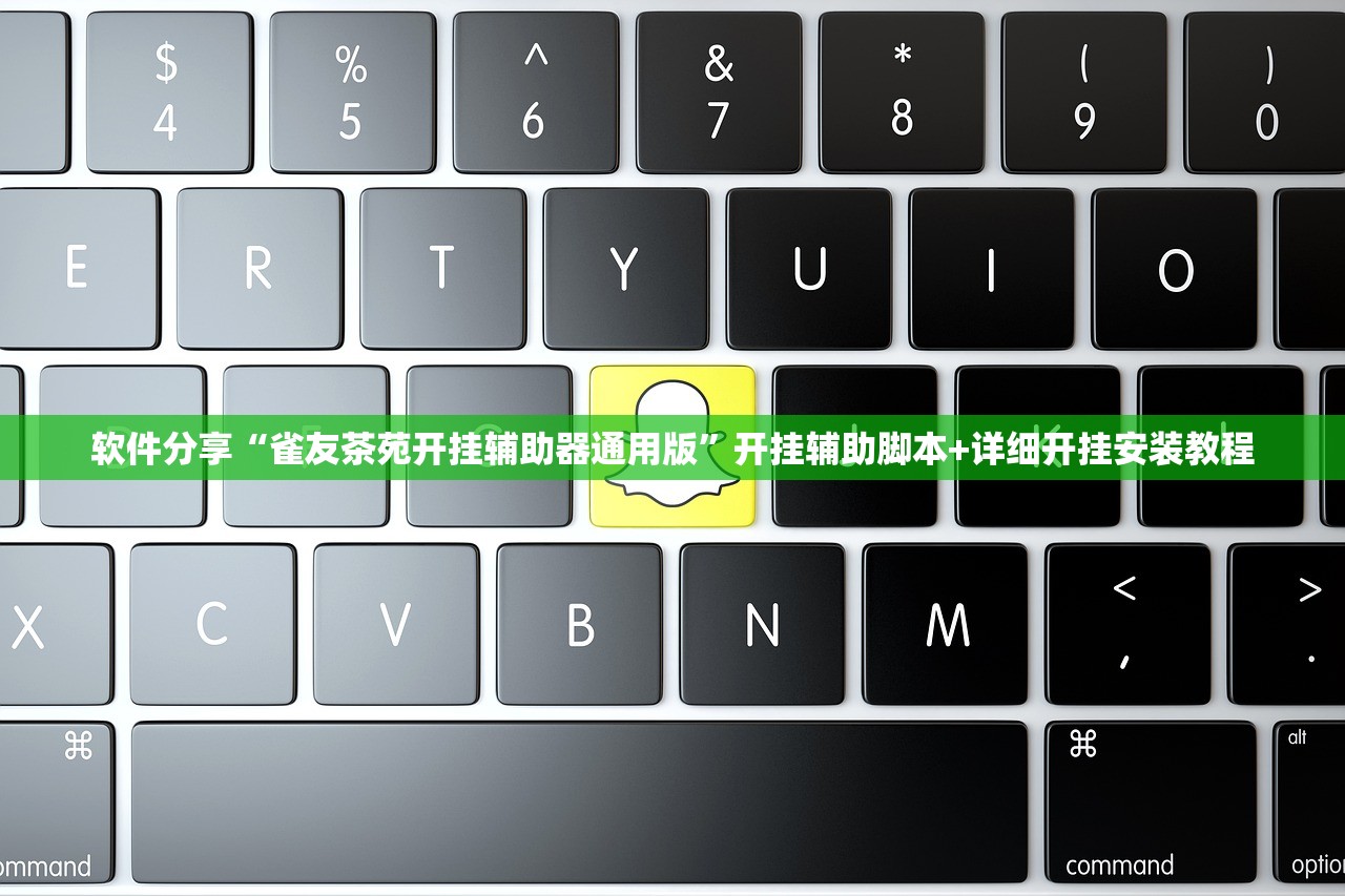 软件分享“雀友茶苑开挂辅助器通用版”开挂辅助脚本+详细开挂安装教程