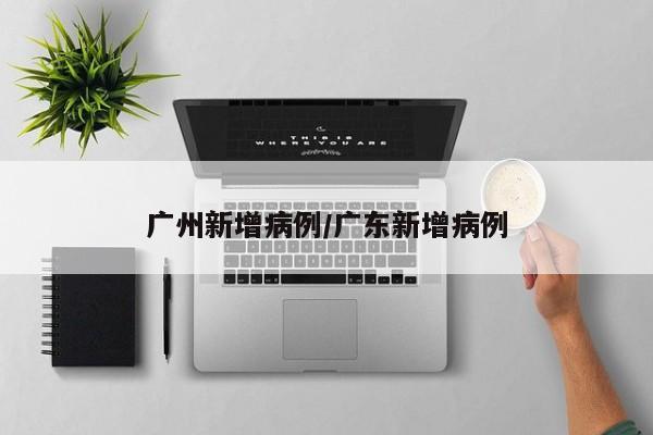 广州新增病例/广东新增病例