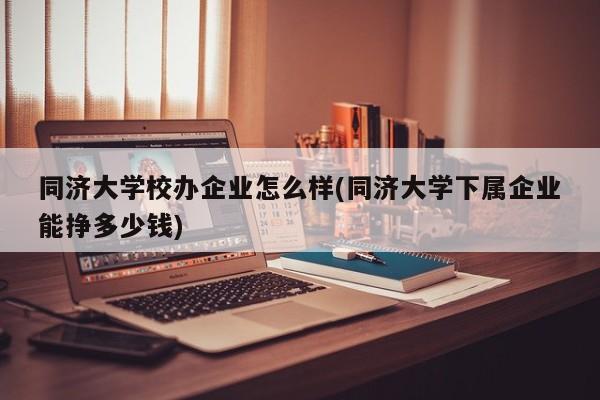 同济大学校办企业怎么样(同济大学下属企业能挣多少钱)