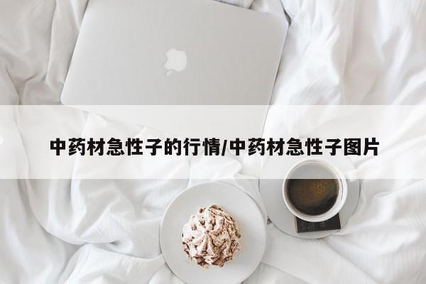 中药材急性子的行情/中药材急性子图片
