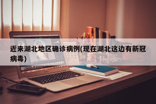 近来湖北地区确诊病例(现在湖北这边有新冠病毒)