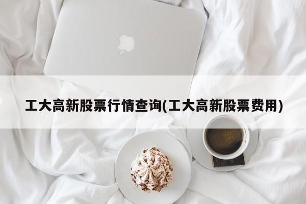 工大高新股票行情查询(工大高新股票费用)