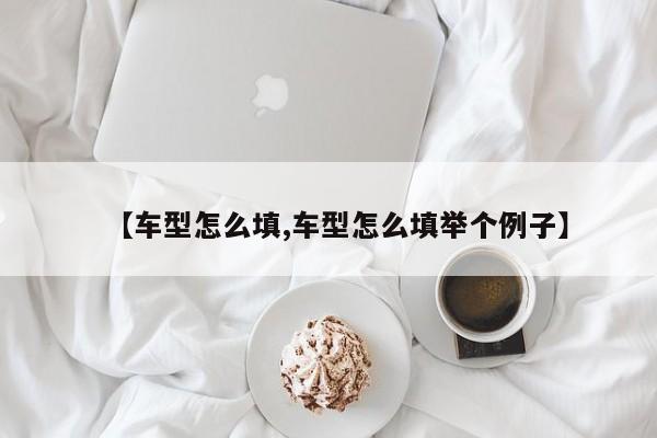 【车型怎么填,车型怎么填举个例子】